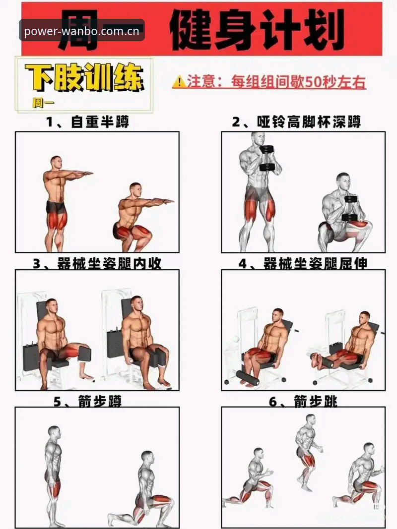 万搏体育使用教程：从新手到熟练操作的全流程指南